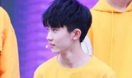 直播爆料马嘉祺事件视频,揭秘背后真相与争议