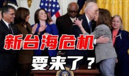 法媒爆料佩洛西视频最新,揭秘其神秘行程与幕后势力”